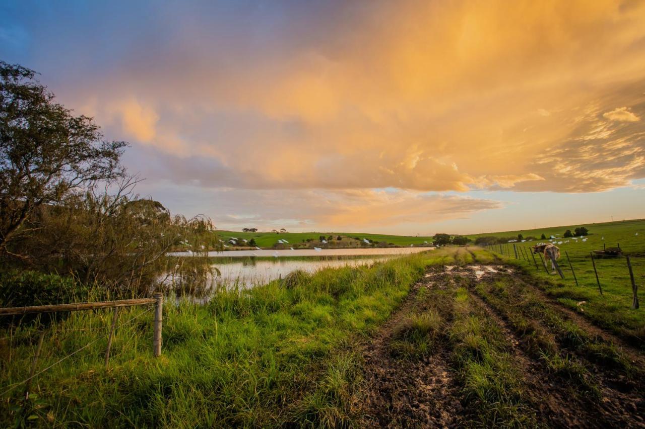 Appelsbosch Guest Farm * Swellendam