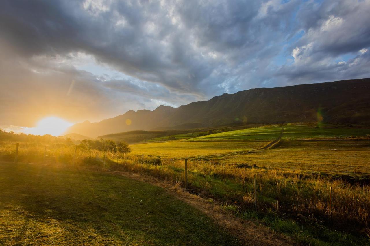 Appelsbosch Guest Farm Farm stay