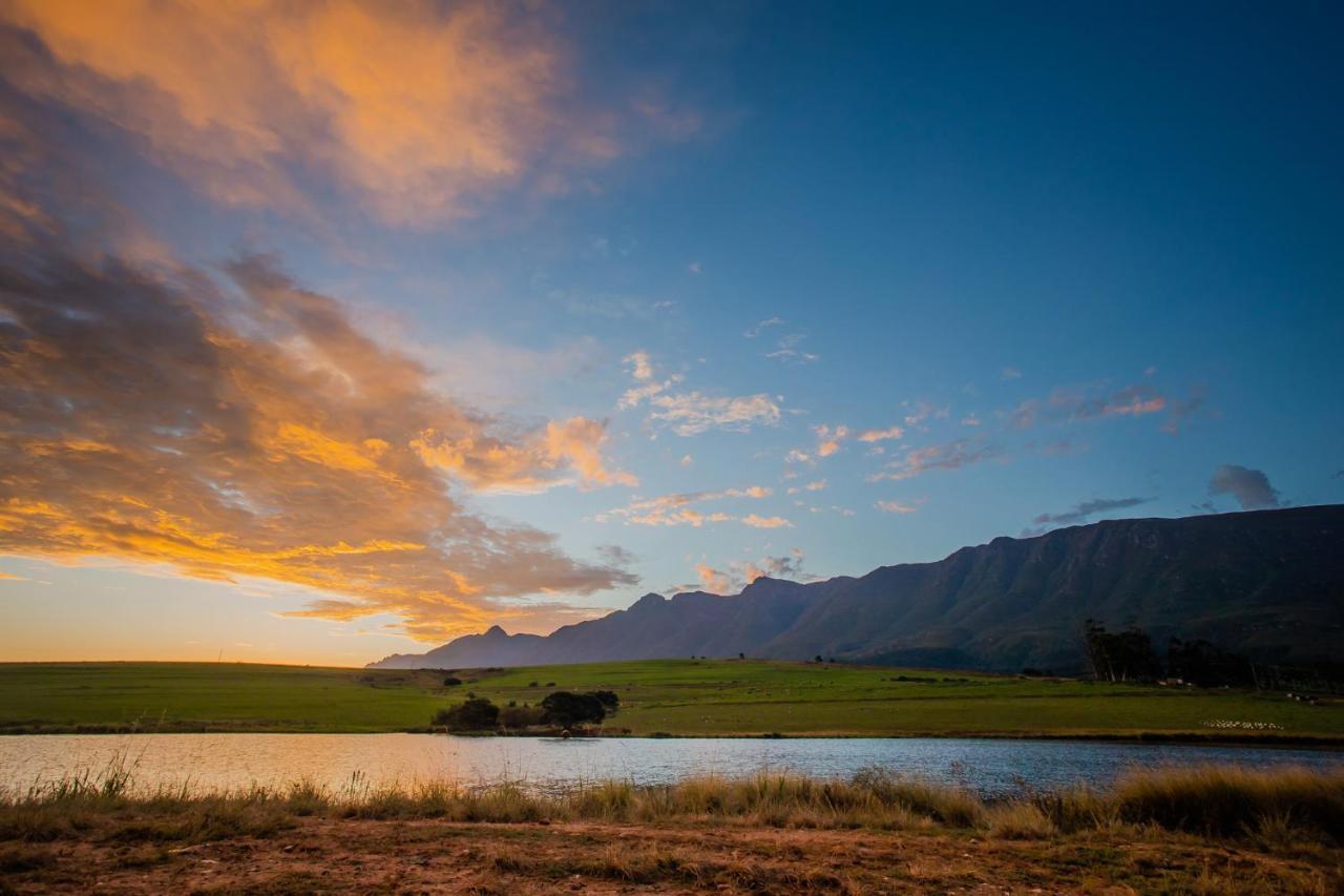 Appelsbosch Guest Farm Farm stay