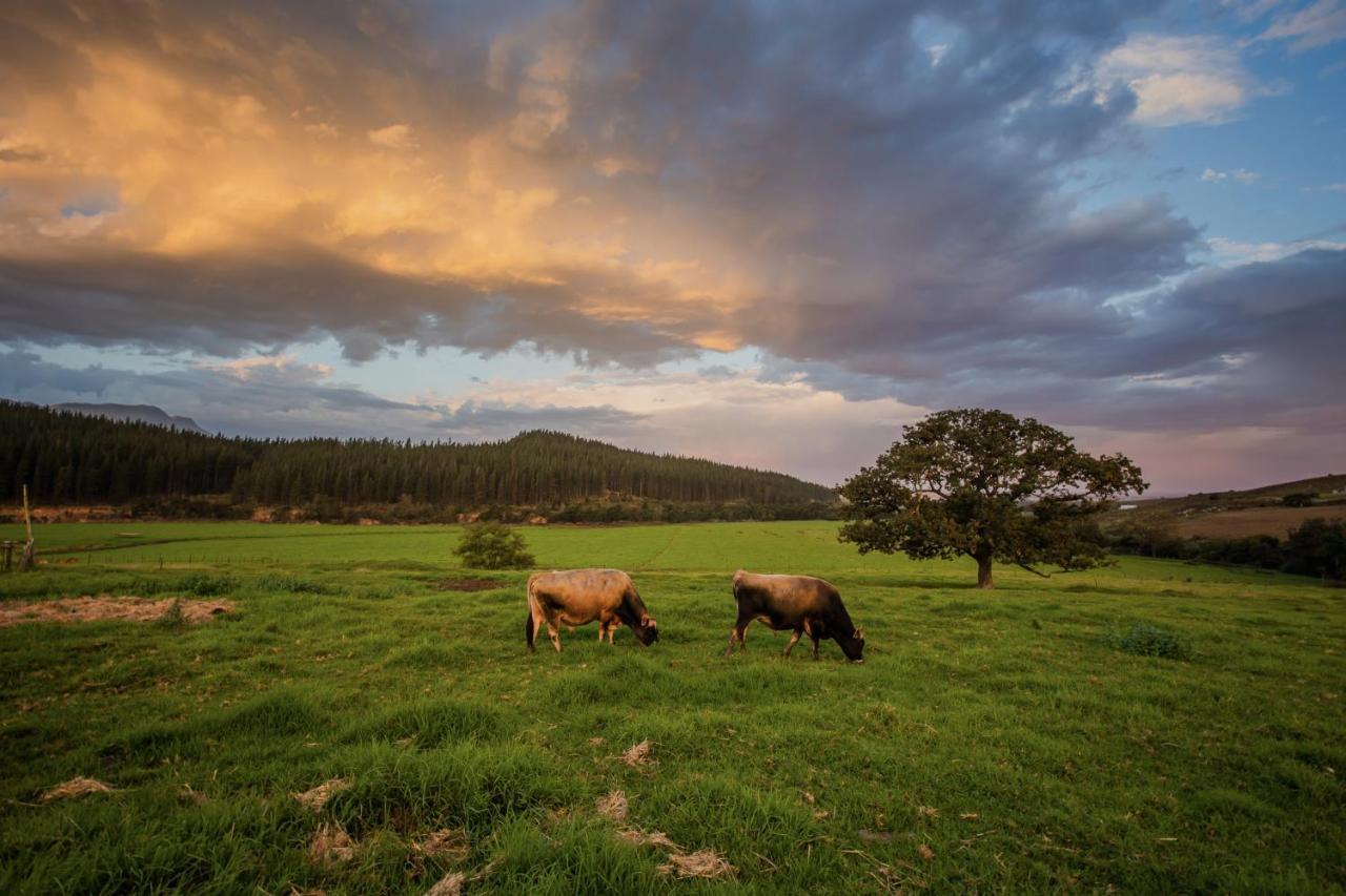 Appelsbosch Guest Farm