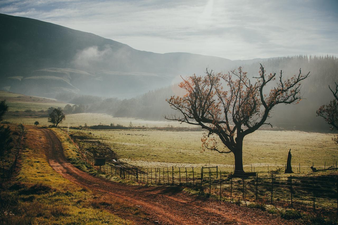 Appelsbosch Guest Farm Farm stay Swellendam